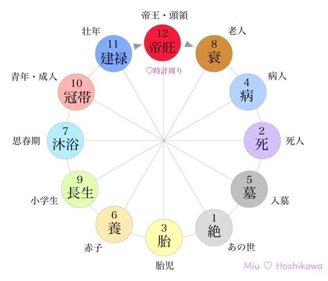 十二運星|【四柱推命｜エネルギーを表す星】十二運星を知ろう